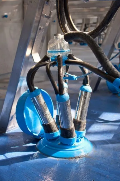 Кластер Swiftflo Dairymaster