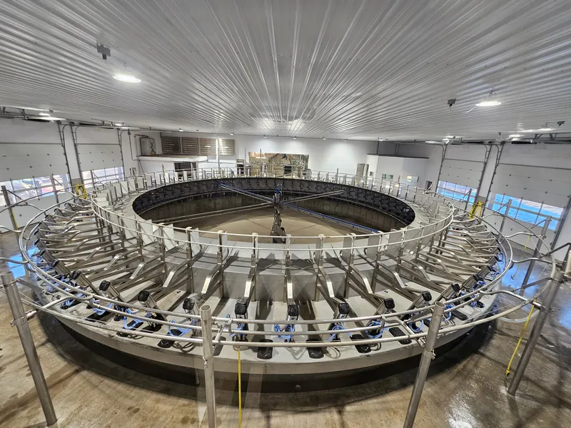 Доїльна карусель Dairymaster DM3X+