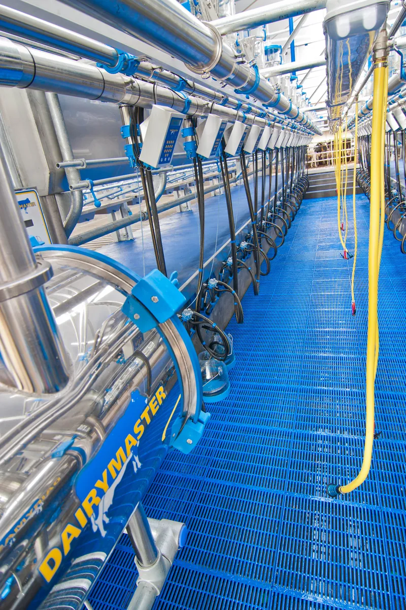 Доїльний зал Double-Up Dairymaster
