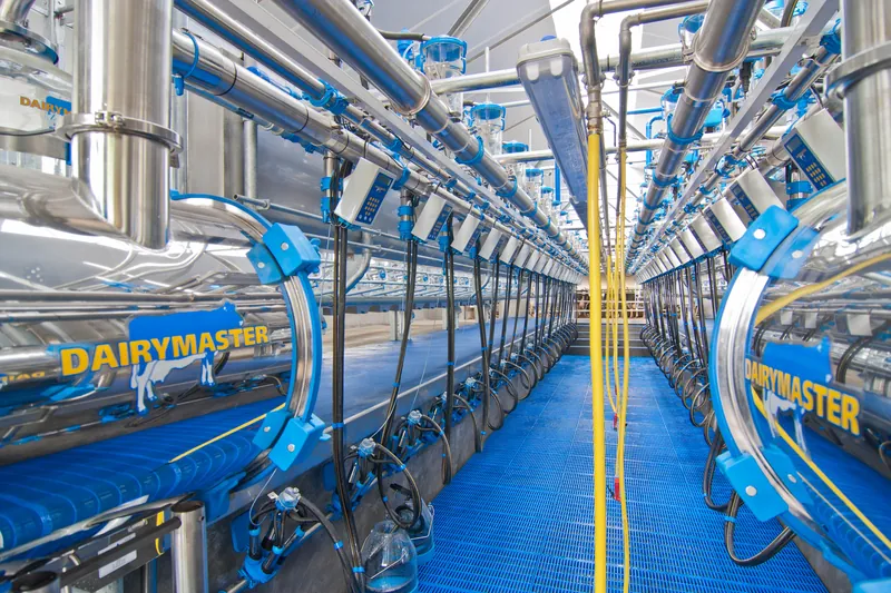 Доїльний зал типу «Паралель» Dairymaster Double-Up