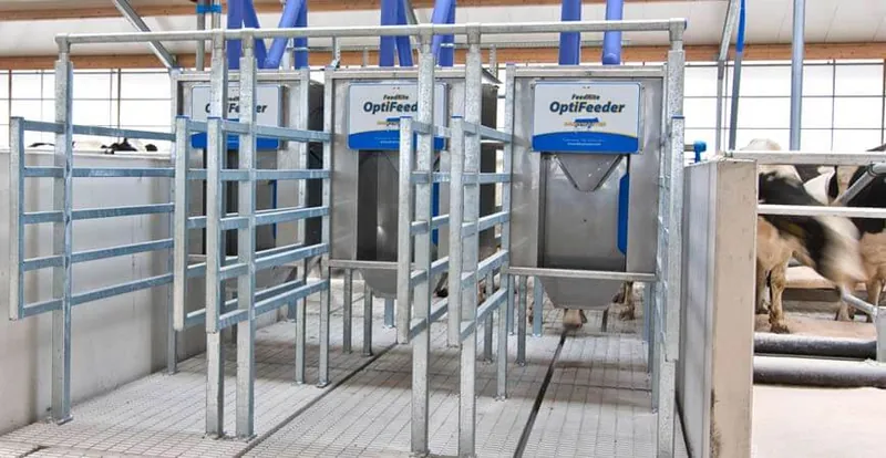 Станції індивідуального докорму OptiFeeder Dairymaster