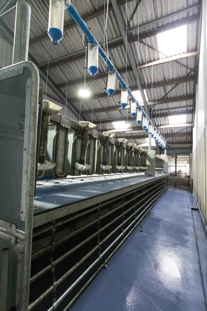 Доїльний зал для кіз, вид збоку