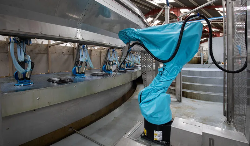 Автоматичне обприскування дійок на платформі Dairymaster RoboSpray