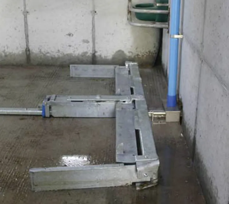 Направляюча рейка скреперної системи Dairymaster у проході корівника